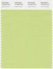 Pantone Smart 13-0324 TCX Color Swatch Card | Lettuce Green