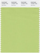 Pantone Smart 13-0331 TCX Color Swatch Card | Sap Green