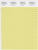 Pantone Smart 13-0333 TCX Color Swatch Card | Lima Bean