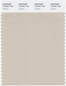 Pantone Smart 13-0401 TCX Color Swatch Card | Oatmeal
