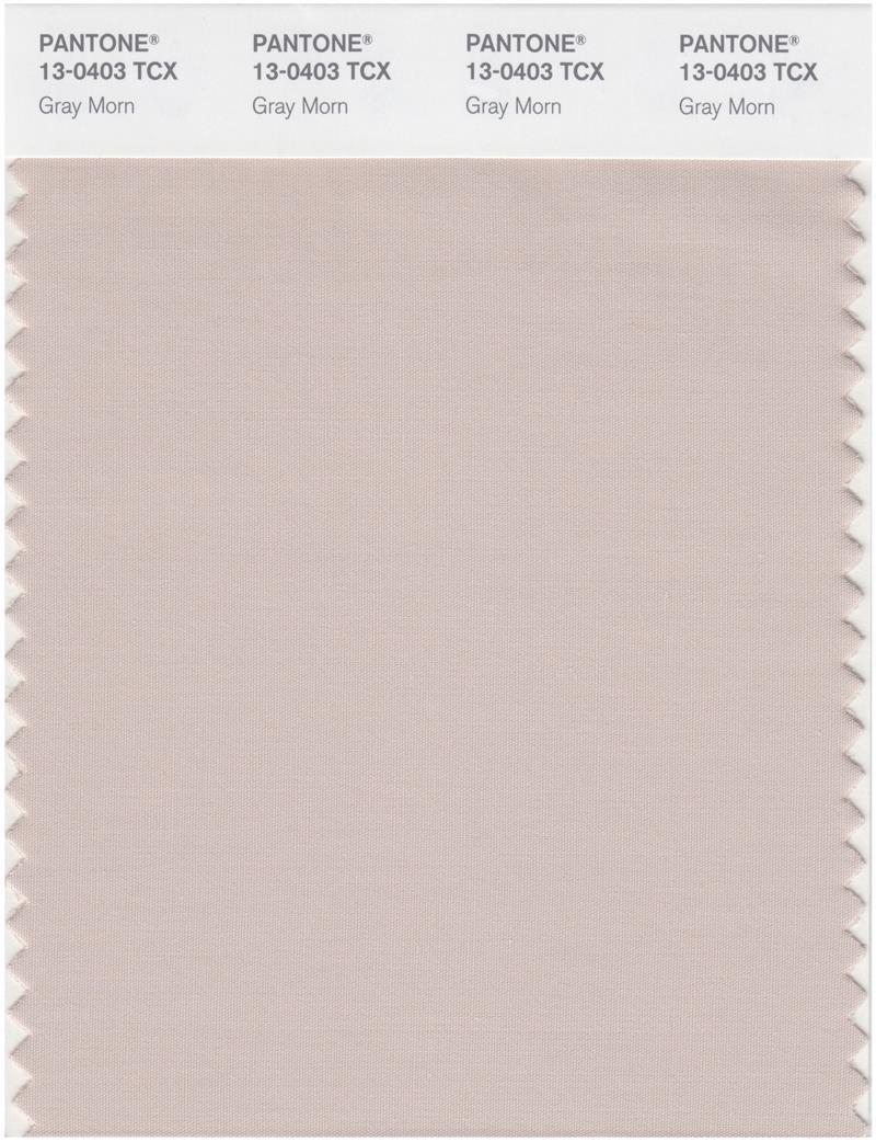 Pantone Smart 13-0403 TCX Color Swatch Card | Gray Morn | Magazine Cafe ...
