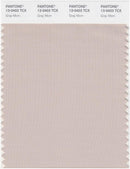 Pantone Smart 13-0403 TCX Color Swatch Card | Gray Morn