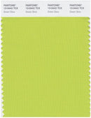 Pantone Smart 13-0442 TCX Color Swatch Card | Green Glow