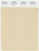 Pantone Smart 13-0513 TCX Color Swatch Card | Frozen Dew
