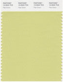 Pantone Smart 13-0522 TCX Color Swatch Card | Pale Green