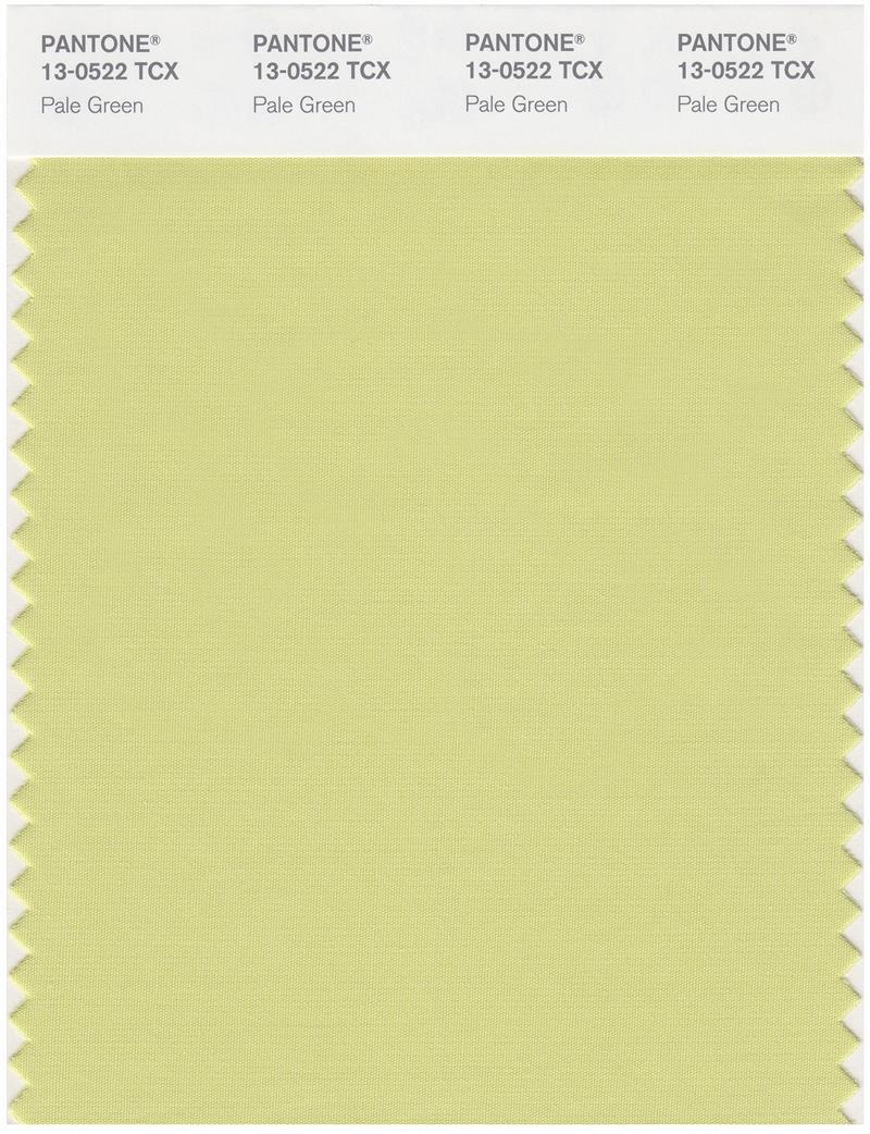 Pantone Smart 13-0522 TCX Color Swatch Card | Pale Green