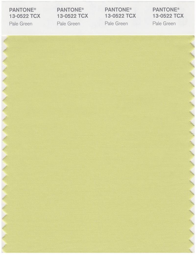 Pantone Smart 13-0522 TCX Color Swatch Card | Pale Green