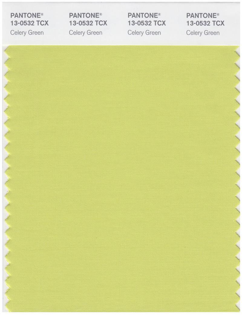 Pantone Smart 130532 TCX Color Swatch Card Celery Green Magazine Cafe Store NYC USA