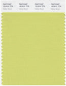 Pantone Smart 13-0532 TCX Color Swatch Card | Celery Green