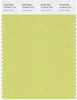 Pantone Smart 13-0532 TCX Color Swatch Card | Celery Green