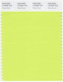 Pantone Smart 13-0535 TCX Color Swatch Card | Sharp Green