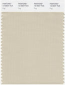 Pantone Smart 13-0607 TCX Color Swatch Card | Fog