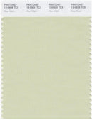 Pantone Smart 13-0608 TCX Color Swatch Card | Aloe Wash