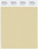 Pantone Smart 13-0613 TCX Color Swatch Card | Chino Green