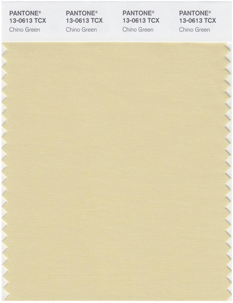 その他 PANTONE for fashion and  COLOR CARD Pantone Smart 13-0613 TCX Color Swatch Card | Chino Green