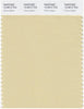 Pantone Smart 13-0613 TCX Color Swatch Card | Chino Green