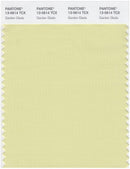 Pantone Smart 13-0614 TCX Color Swatch Card | Garden Glade
