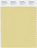 Pantone Smart 13-0624 TCX Color Swatch Card | Golden Mist