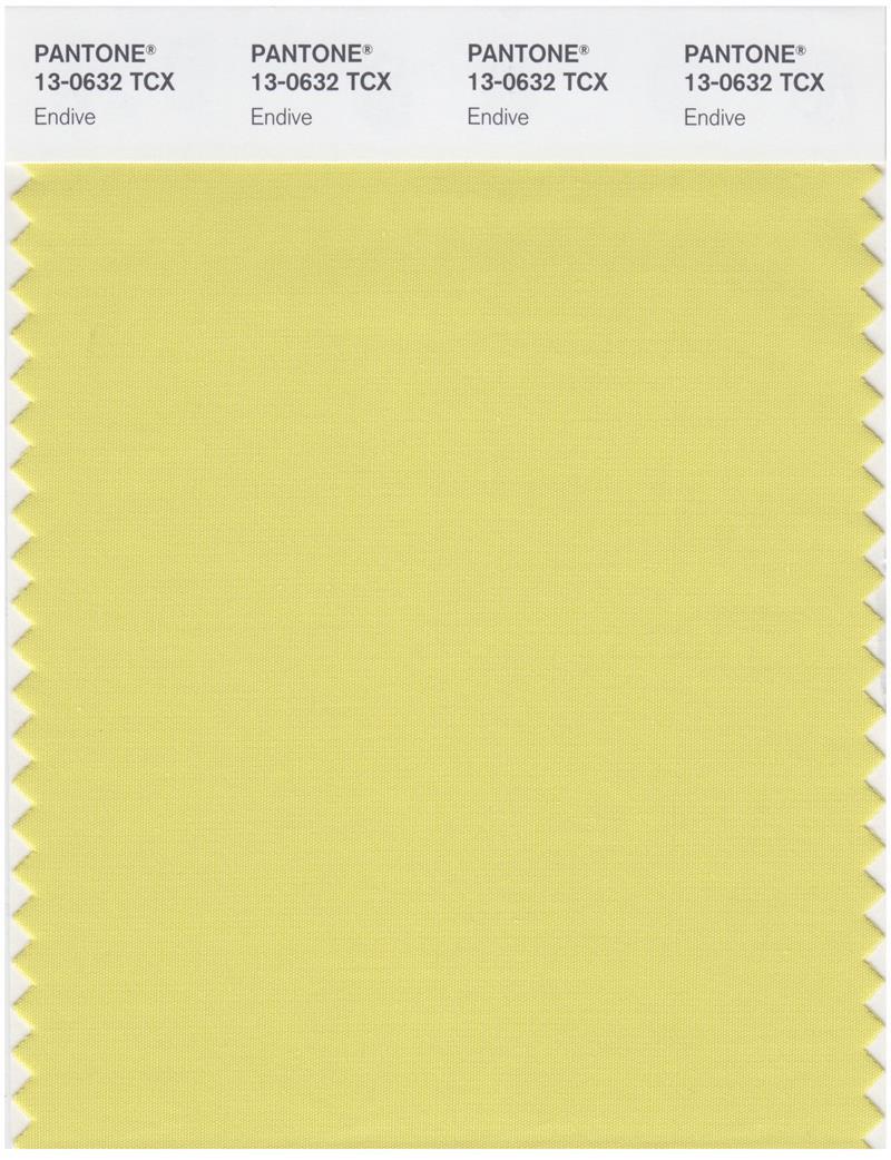 Pantone Smart 13-0632 TCX Color Swatch Card | Endive | Magazine