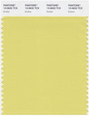 Pantone Smart 13-0632 TCX Color Swatch Card | Endive
