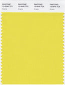 Pantone Smart 13-0640 TCX Color Swatch Card | Acaica