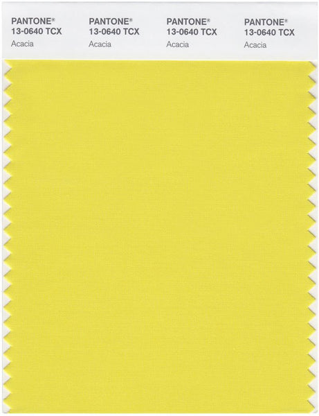 PANTONE カラーガイド　process coated Pantone Process Guide Coated