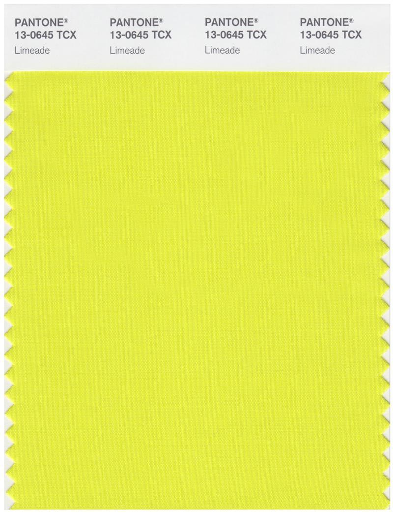 その他 PANTONE for fashion and  COLOR CARD Pantone Smart 13-0645 TCX Color Swatch Card | Limeade | Magazine