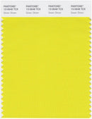 Pantone Smart 13-0648 TCX Color Swatch Card | Green Sheen
