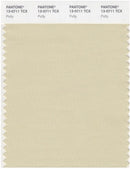 Pantone Smart 13-0711 TCX Color Swatch Card | Putty