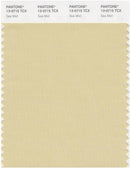 Pantone Smart 13-0715 TCX Color Swatch Card | Sea Mist