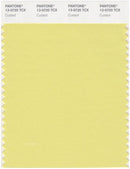Pantone Smart 13-0720 TCX Color Swatch Card | Custard