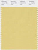 Pantone Smart 13-0725 TCX Color Swatch Card | Raffia