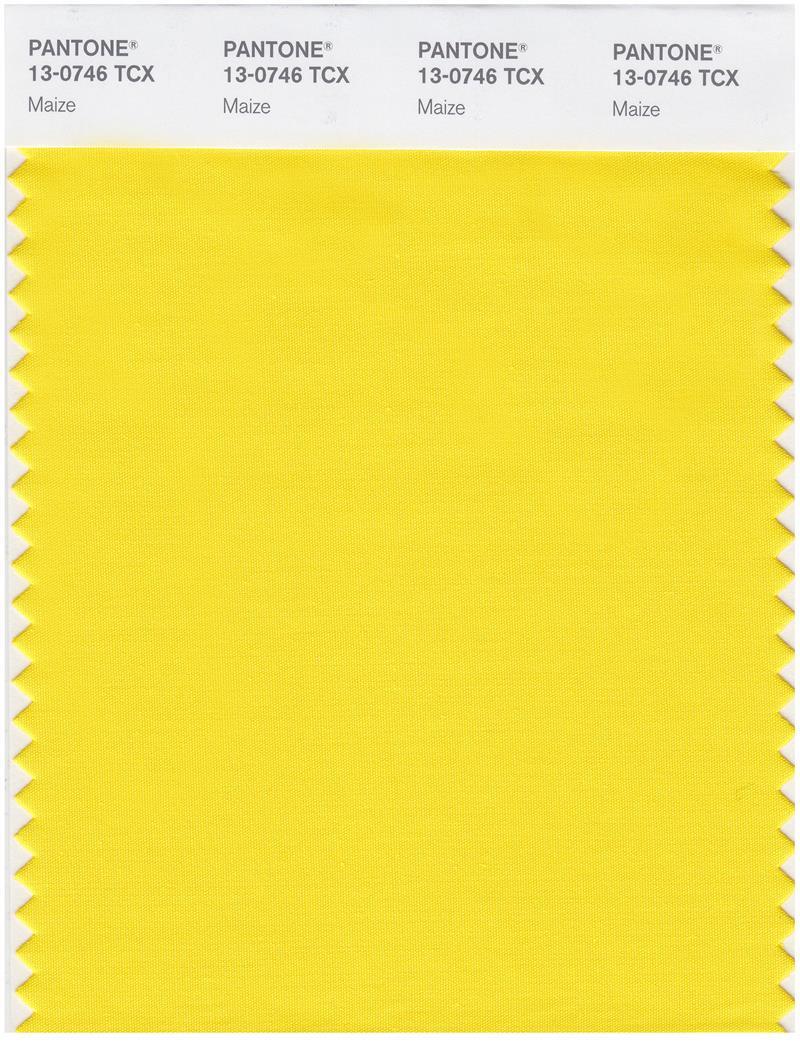 その他 PANTONE for fashion and  COLOR CARD fhic200-pantone-fashion-home-