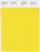 Pantone Smart 13-0746 TCX Color Swatch Card | Maize