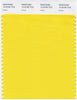 Pantone Smart 13-0746 TCX Color Swatch Card | Maize