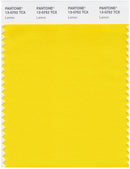 Pantone Smart 13-0752 TCX Color Swatch Card | Lemon