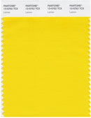 Pantone Smart 13-0755 TCX Color Swatch Card | Primrose Yellow