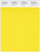 Pantone Smart 13-0758 TCX Color Swatch Card | Dandelion