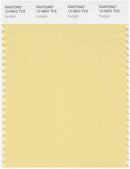 Pantone Smart 13-0822 TCX Color Swatch Card | Sunlight