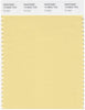 Pantone Smart 13-0822 TCX Color Swatch Card | Sunlight