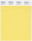 Pantone Smart 13-0840 TCX Color Swatch Card | Snapdragon