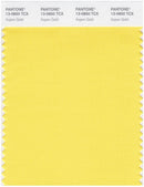 Pantone Smart 13-0850 TCX Color Swatch Card | Aspen Gold