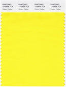 Pantone Smart 13-0858 TCX Color Swatch Card | Vibrant Yellow