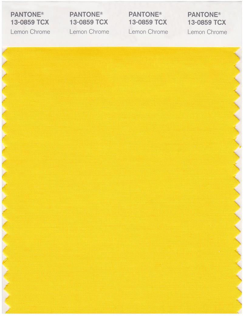 Pantone Smart 13-0859 TCX Color Swatch Card | Lemon Chrome
