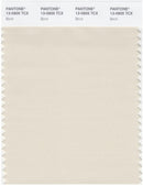 Pantone Smart 13-0905 TCX Color Swatch Card | Birch