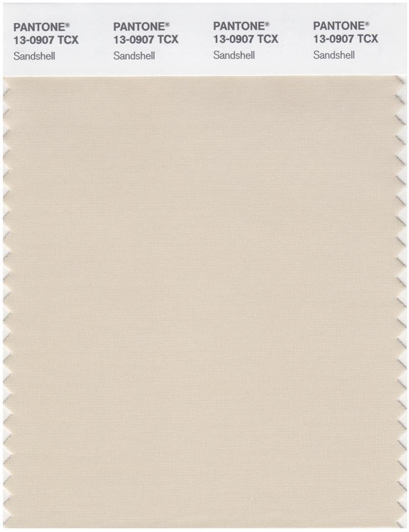 Pantone Smart 13-0907 TCX Color Swatch Card | Sand Shell