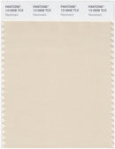 Pantone Smart 13-0908 TCX Color Swatch Card | Parchment