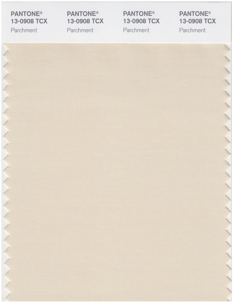 Pantone Smart 13-0908 TCX Color Swatch Card | Parchment