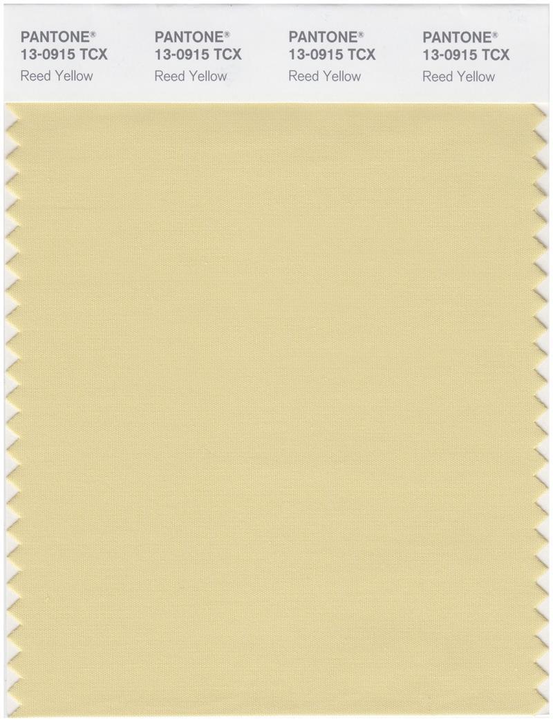 Pantone Smart 13-0915 TCX Color Swatch Card | Reed Yellow