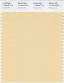 Pantone Smart 13-0916 TCX Color Swatch Card | Chamomile